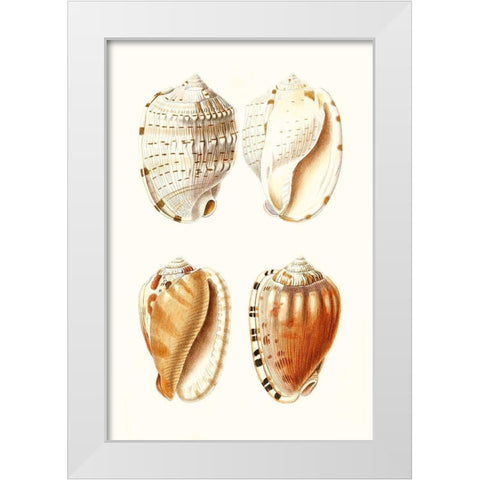 Lamarck Shells VII White Modern Wood Framed Art Print by Lamarck