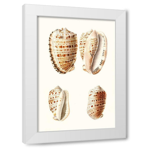 Lamarck Shells VIII White Modern Wood Framed Art Print by Lamarck