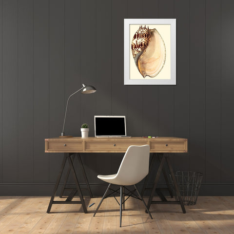 Splendid Shells II White Modern Wood Framed Art Print by Vision Studio