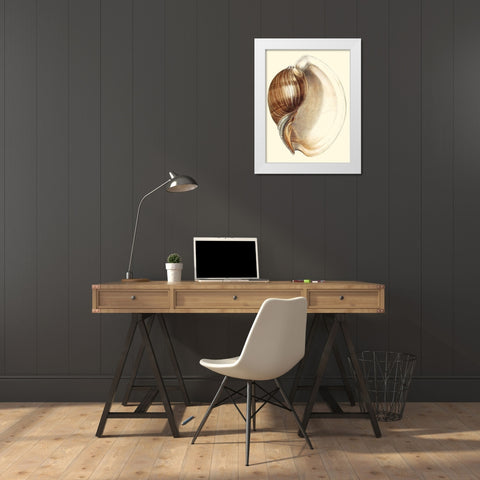Splendid Shells III White Modern Wood Framed Art Print by Vision Studio