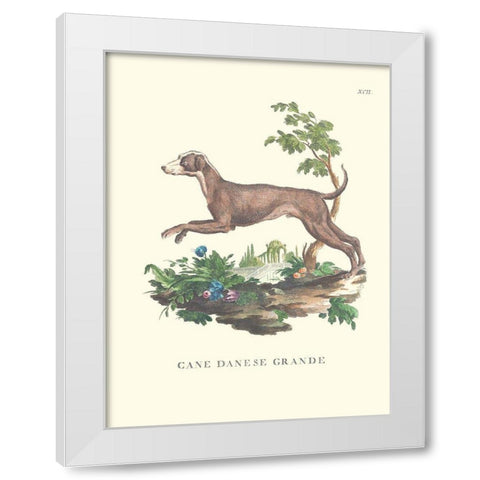 French Dogs I White Modern Wood Framed Art Print by Unknown
