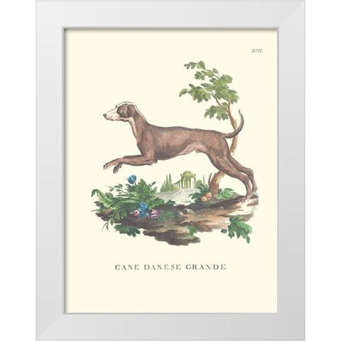 French Dogs I White Modern Wood Framed Art Print by Unknown