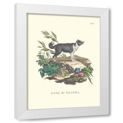 French Dogs II White Modern Wood Framed Art Print by Unknown