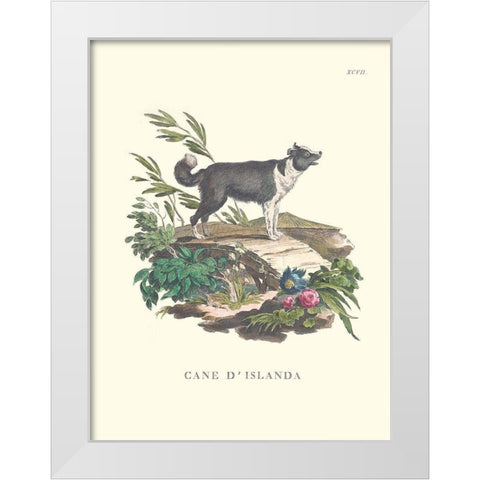 French Dogs II White Modern Wood Framed Art Print by Unknown