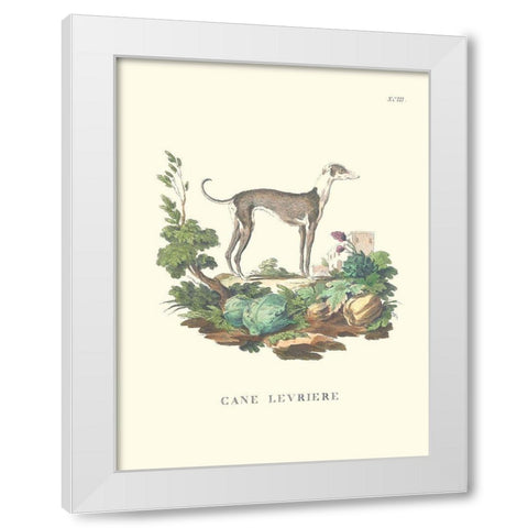 French Dogs III White Modern Wood Framed Art Print by Unknown
