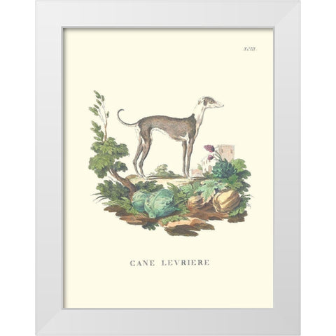 French Dogs III White Modern Wood Framed Art Print by Unknown