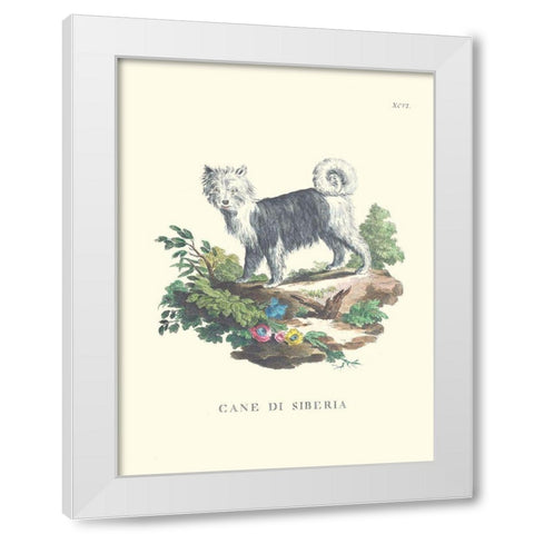 French Dogs IV White Modern Wood Framed Art Print by Unknown