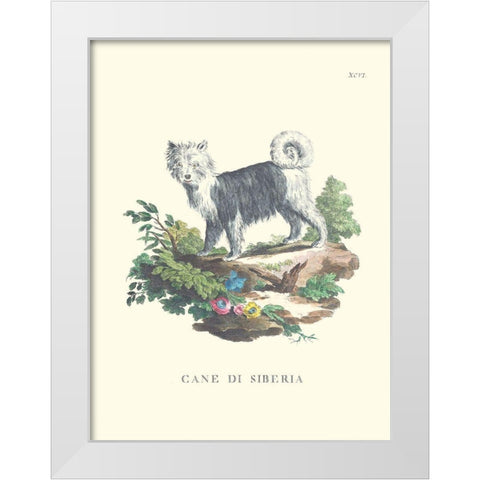 French Dogs IV White Modern Wood Framed Art Print by Unknown