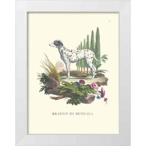 French Dogs V White Modern Wood Framed Art Print by Unknown