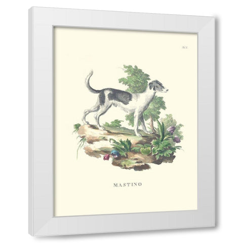 French Dogs VI White Modern Wood Framed Art Print by Unknown