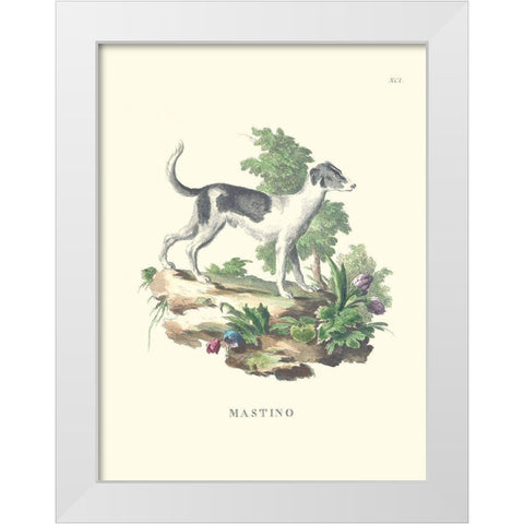 French Dogs VI White Modern Wood Framed Art Print by Unknown