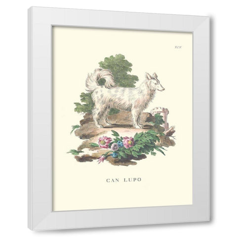 French Dogs VII White Modern Wood Framed Art Print by Unknown