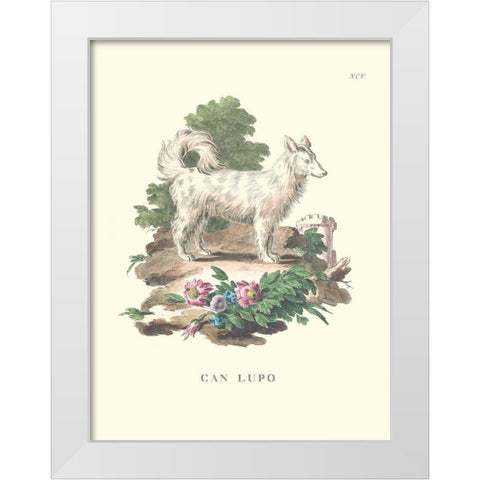 French Dogs VII White Modern Wood Framed Art Print by Unknown