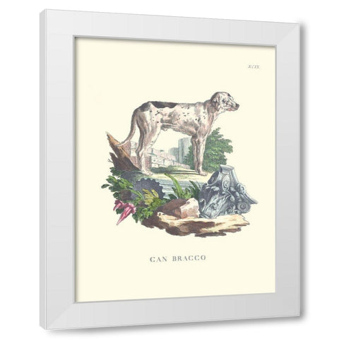 French Dogs VIII White Modern Wood Framed Art Print by Unknown