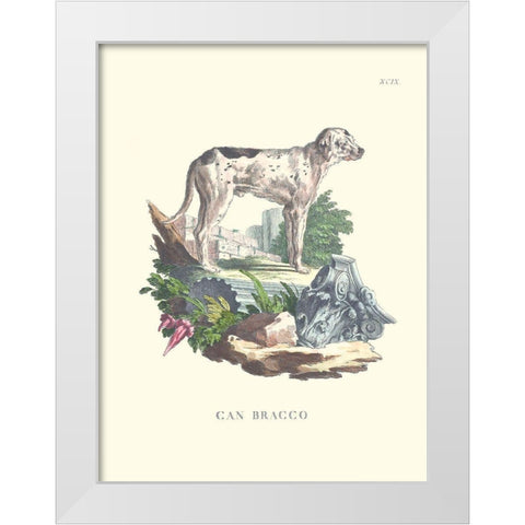 French Dogs VIII White Modern Wood Framed Art Print by Unknown