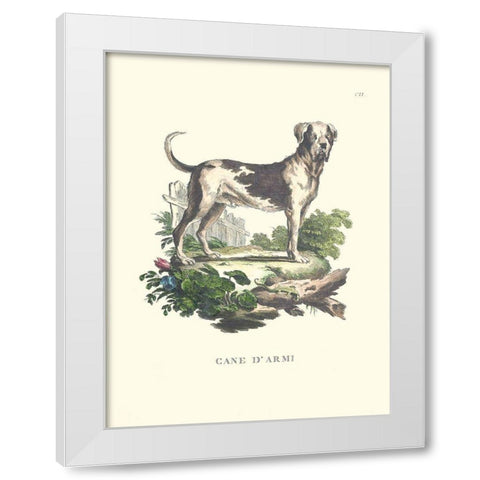 French Dogs IX White Modern Wood Framed Art Print by Unknown