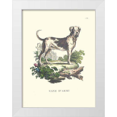 French Dogs IX White Modern Wood Framed Art Print by Unknown