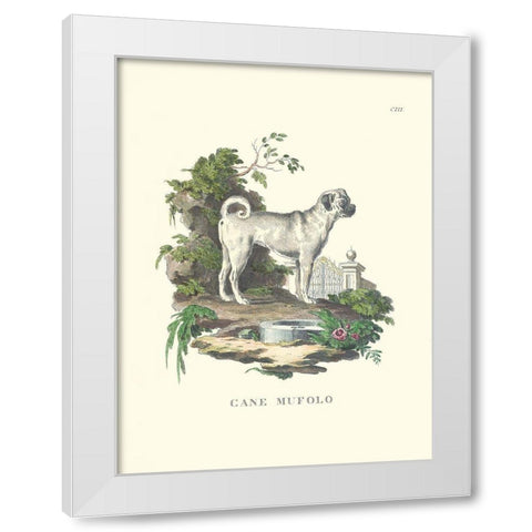 French Dogs X White Modern Wood Framed Art Print by Unknown