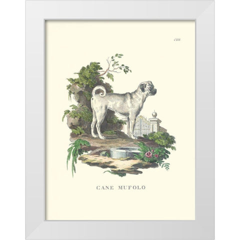 French Dogs X White Modern Wood Framed Art Print by Unknown