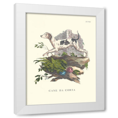 French Dogs XI White Modern Wood Framed Art Print by Unknown