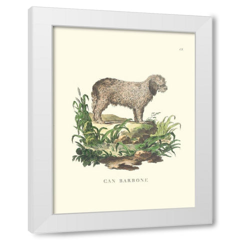 French Dogs XII White Modern Wood Framed Art Print by Unknown