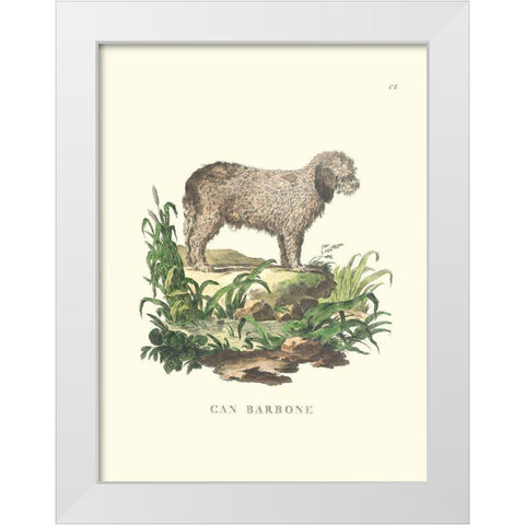 French Dogs XII White Modern Wood Framed Art Print by Unknown