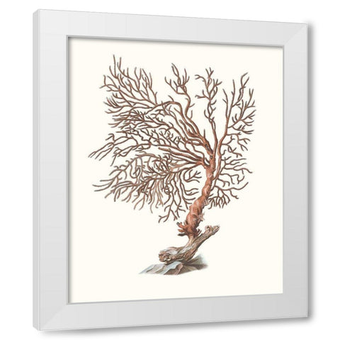 Terra Cotta Coral I White Modern Wood Framed Art Print by Unknown