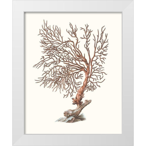 Terra Cotta Coral I White Modern Wood Framed Art Print by Unknown