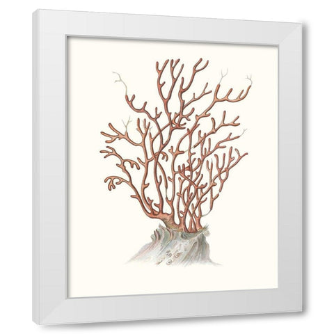 Terra Cotta Coral II White Modern Wood Framed Art Print by Unknown