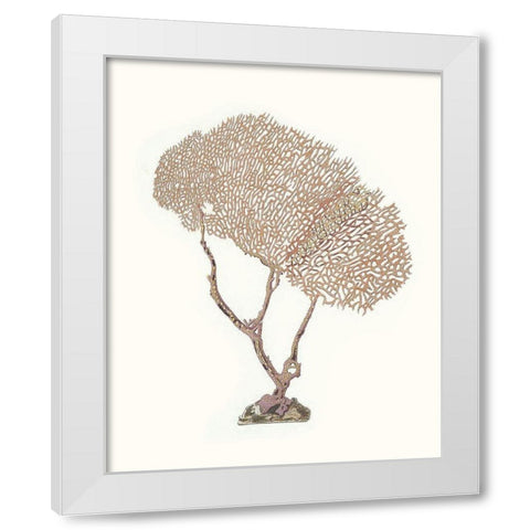 Terra Cotta Coral V White Modern Wood Framed Art Print by Unknown