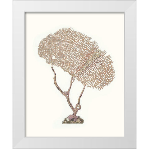 Terra Cotta Coral V White Modern Wood Framed Art Print by Unknown