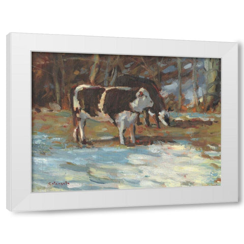 Cows Grazing-Somerset III White Modern Wood Framed Art Print by Calcasola, Stephen