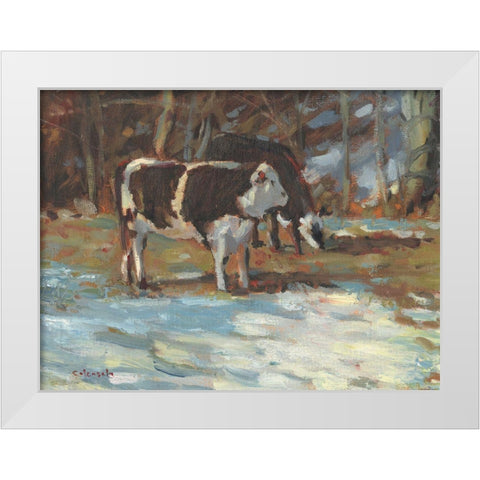 Cows Grazing-Somerset III White Modern Wood Framed Art Print by Calcasola, Stephen