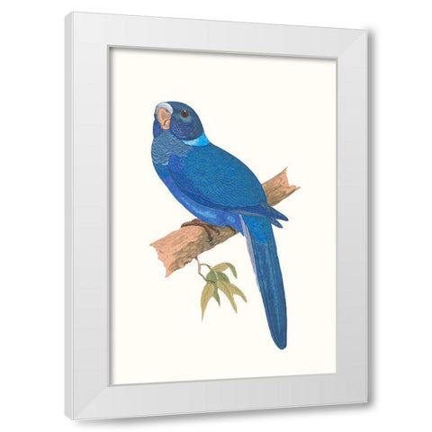 Blue Parrots IV White Modern Wood Framed Art Print by Vision Studio