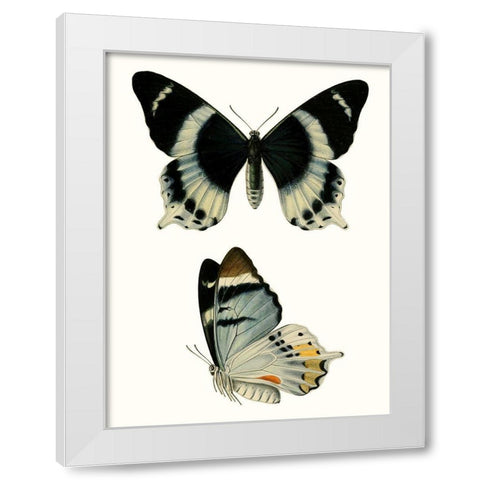 Antique Blue Butterflies I White Modern Wood Framed Art Print by Vision Studio