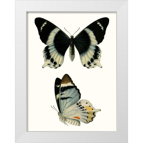 Antique Blue Butterflies I White Modern Wood Framed Art Print by Vision Studio