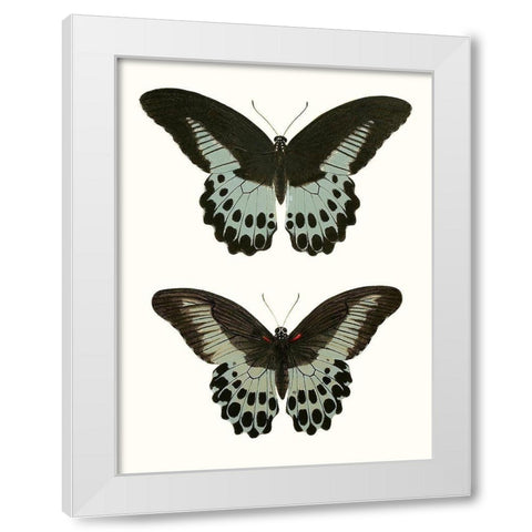 Antique Blue Butterflies II White Modern Wood Framed Art Print by Vision Studio