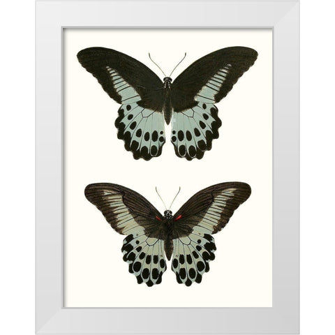 Antique Blue Butterflies II White Modern Wood Framed Art Print by Vision Studio