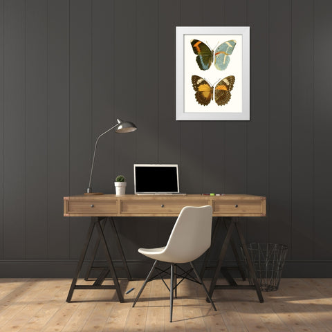 Antique Blue Butterflies III White Modern Wood Framed Art Print by Vision Studio