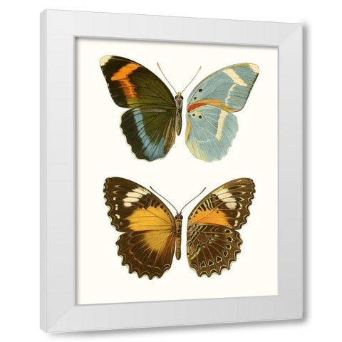 Antique Blue Butterflies III White Modern Wood Framed Art Print by Vision Studio