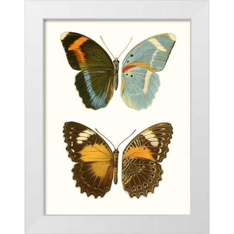 Antique Blue Butterflies III White Modern Wood Framed Art Print by Vision Studio