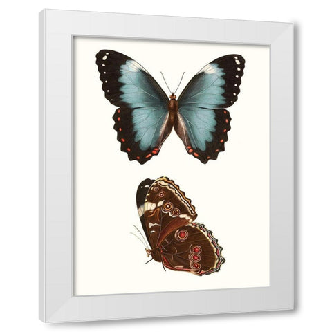 Antique Blue Butterflies IV White Modern Wood Framed Art Print by Vision Studio