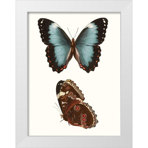 Antique Blue Butterflies IV White Modern Wood Framed Art Print by Vision Studio