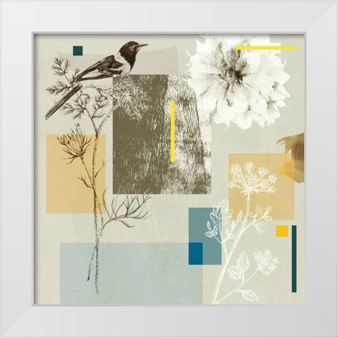 Bird Anatomy IV White Modern Wood Framed Art Print by Wang, Melissa