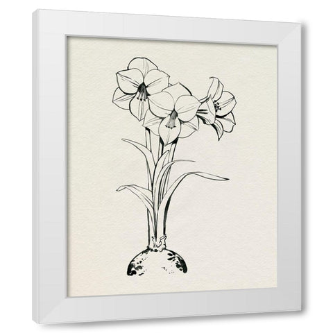 Christmas Amaryllis I White Modern Wood Framed Art Print by Popp, Grace