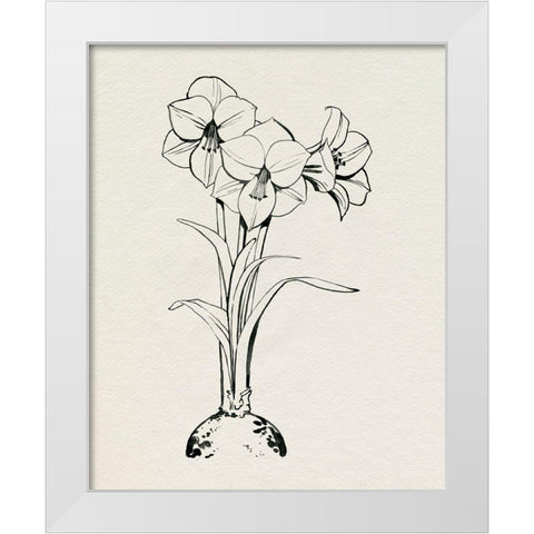 Christmas Amaryllis I White Modern Wood Framed Art Print by Popp, Grace