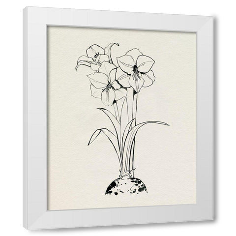 Christmas Amaryllis II White Modern Wood Framed Art Print by Popp, Grace