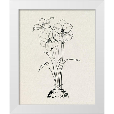 Christmas Amaryllis II White Modern Wood Framed Art Print by Popp, Grace