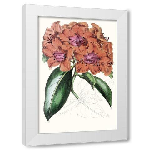 Paxton Tropicals I White Modern Wood Framed Art Print by Paxton