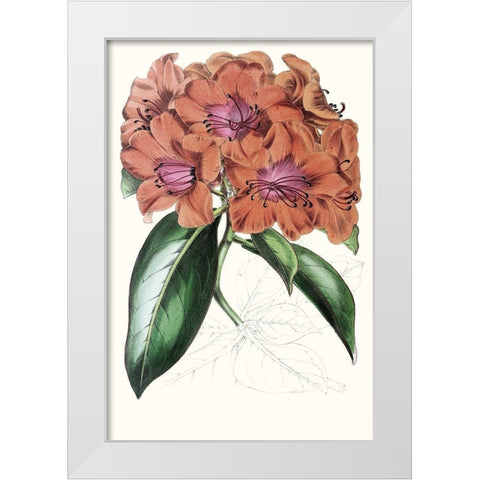 Paxton Tropicals I White Modern Wood Framed Art Print by Paxton